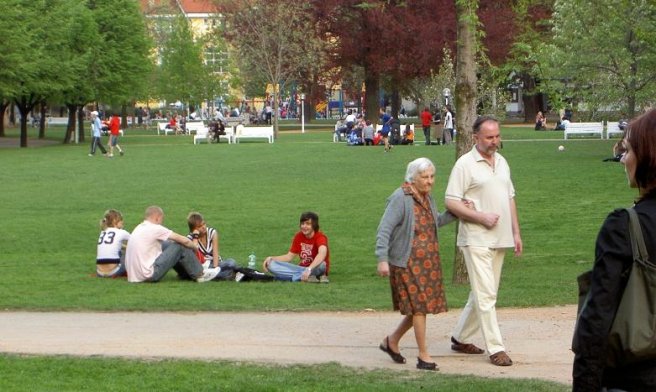 MULTI-FUNKČNÝ PRE"SHOW" PARK