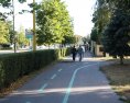 Košice | Čo na mieste vyrúbaného stromu?
