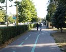 Košice | Čo na mieste vyrúbaného stromu?