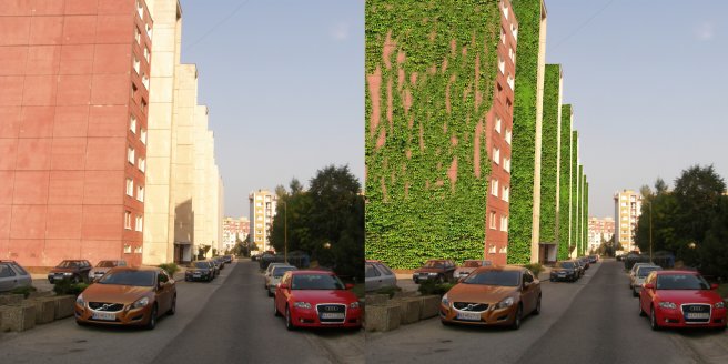Vertikálna zeleň