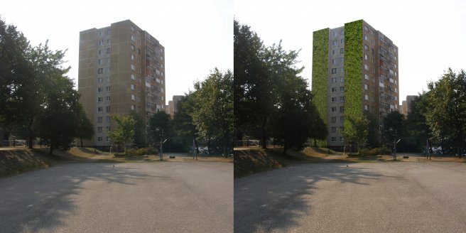 Vertikálna zeleň